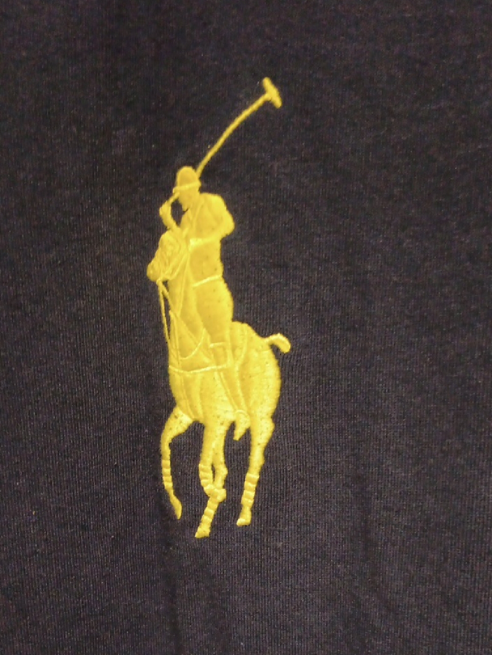 Polo by Ralph Lauren Navy Hoodie with Yellow Pony & Sleeve Accent - Picture 2 of 7